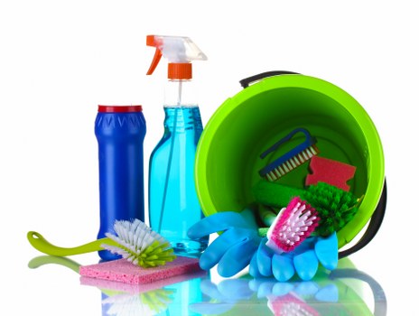 Carpet cleaning team beginning a safety-focused service in an indoor property