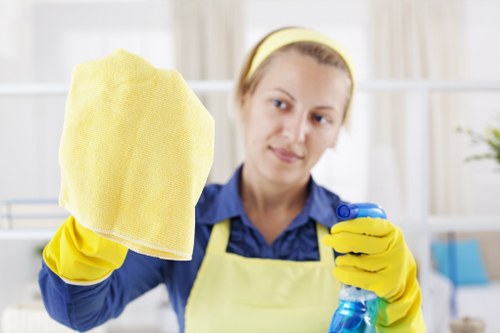 Detailed carpet cleaning service process in a South Wimbledon property