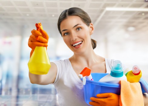 Screen reader and keyboard navigation support for carpet cleaner website