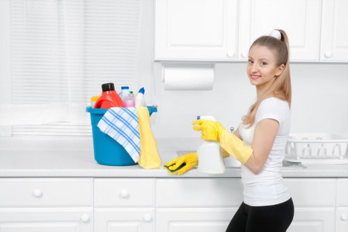 Cleaner inspecting tools and workspace conditions before carpet cleaning