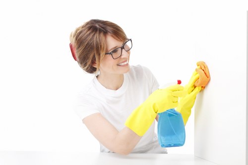 Professional carpet cleaning treatment being prepared in a home interior