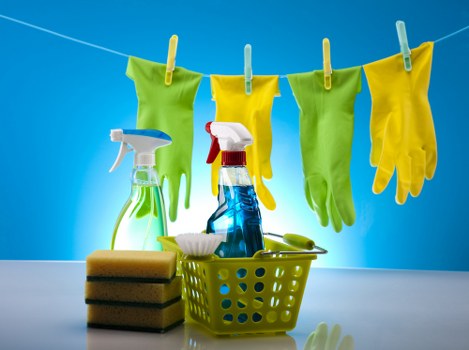 Professional pet stain cleaning service in South Wimbledon living room