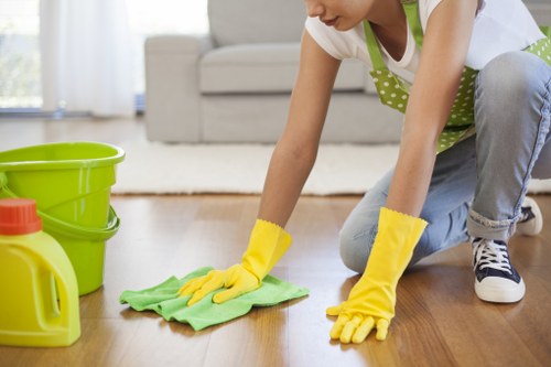 Odour removal treatment for pet stains on carpet in South Wimbledon